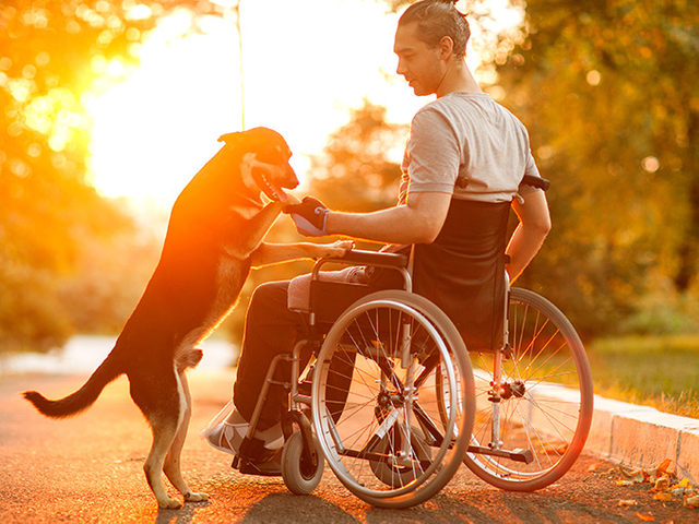 wheelchair Mobility