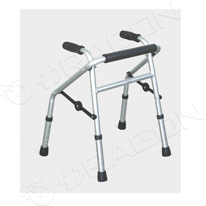Girello per bambini DW-WA12